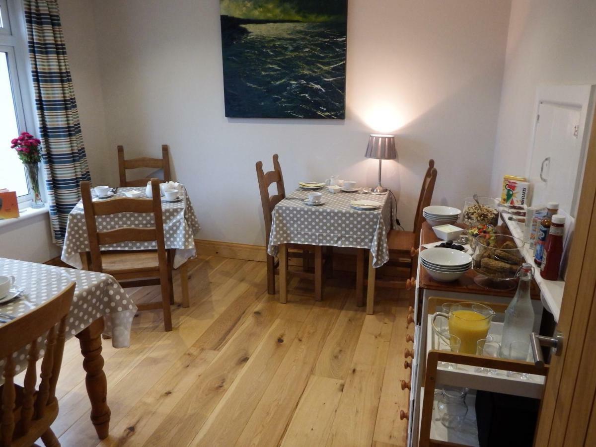 Ty Helyg Bed and Breakfast St Davids Eksteriør billede